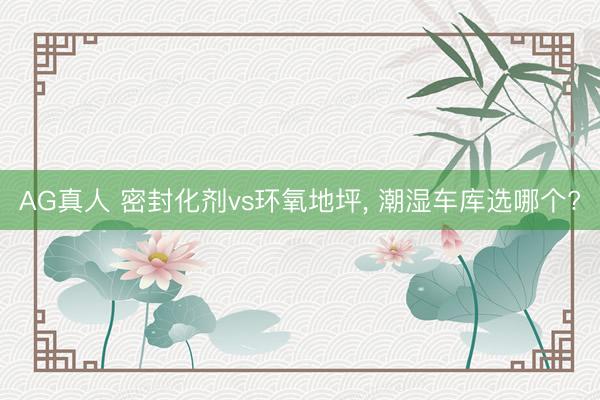 AG真人 密封化剂vs环氧地坪, 潮湿车库选哪个?