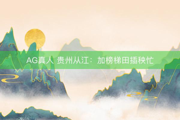 AG真人 贵州从江：加榜梯田插秧忙