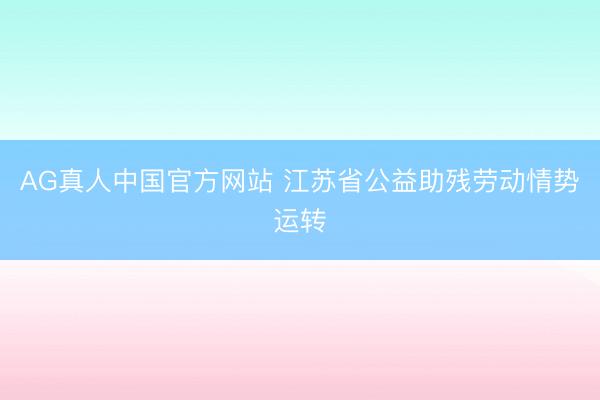 AG真人中国官方网站 江苏省公益助残劳动情势运转